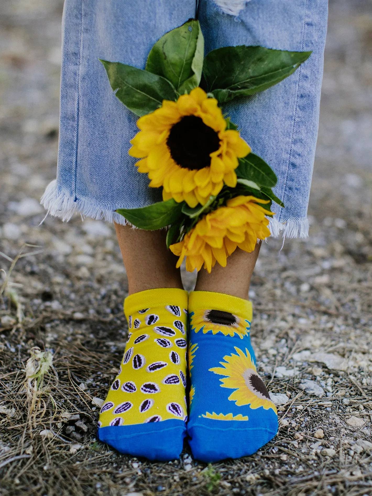 Calcetines tobilleros alegres Girasol - Image 5
