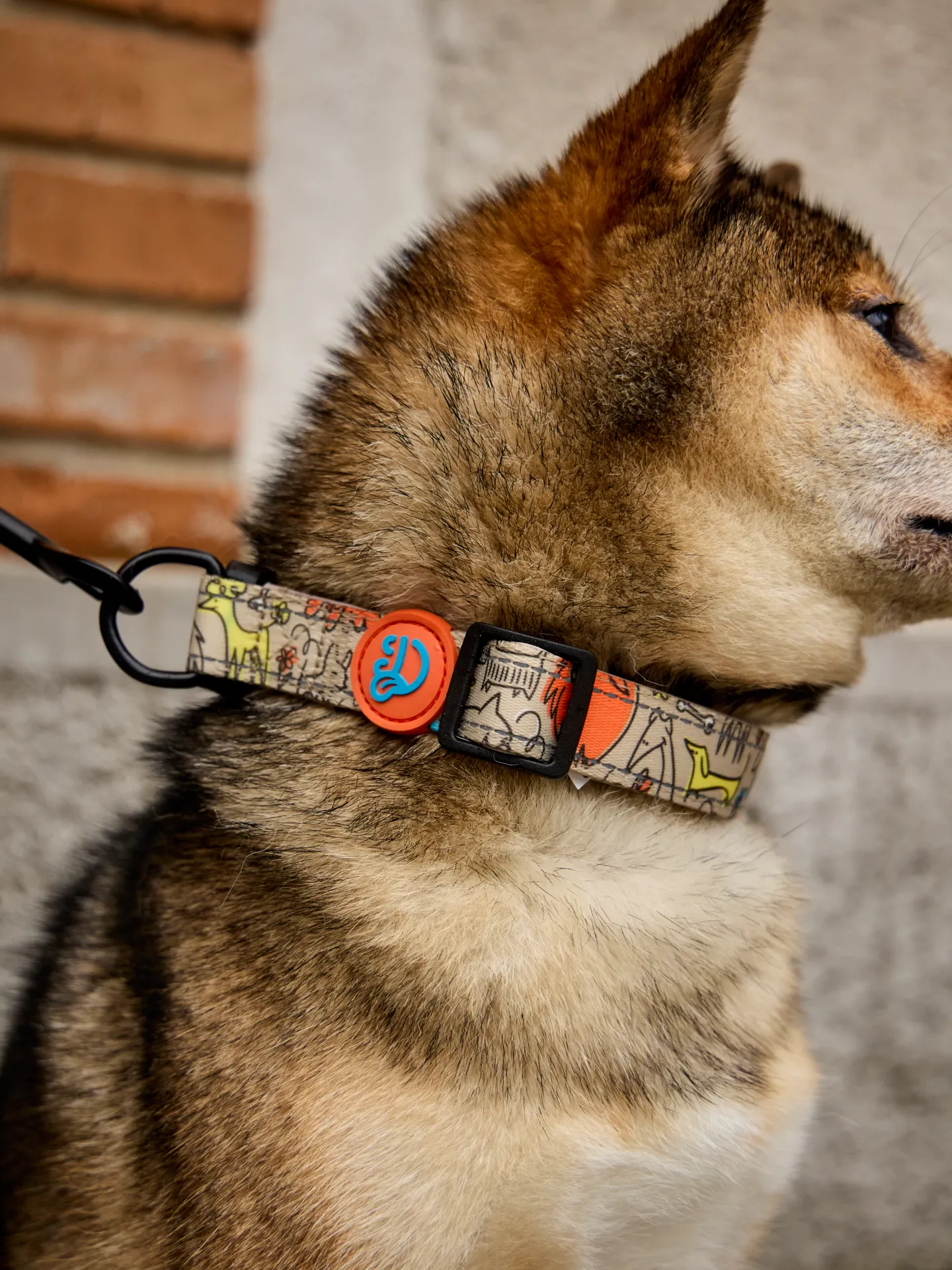 Collar para perro Manada de perros - Image 4
