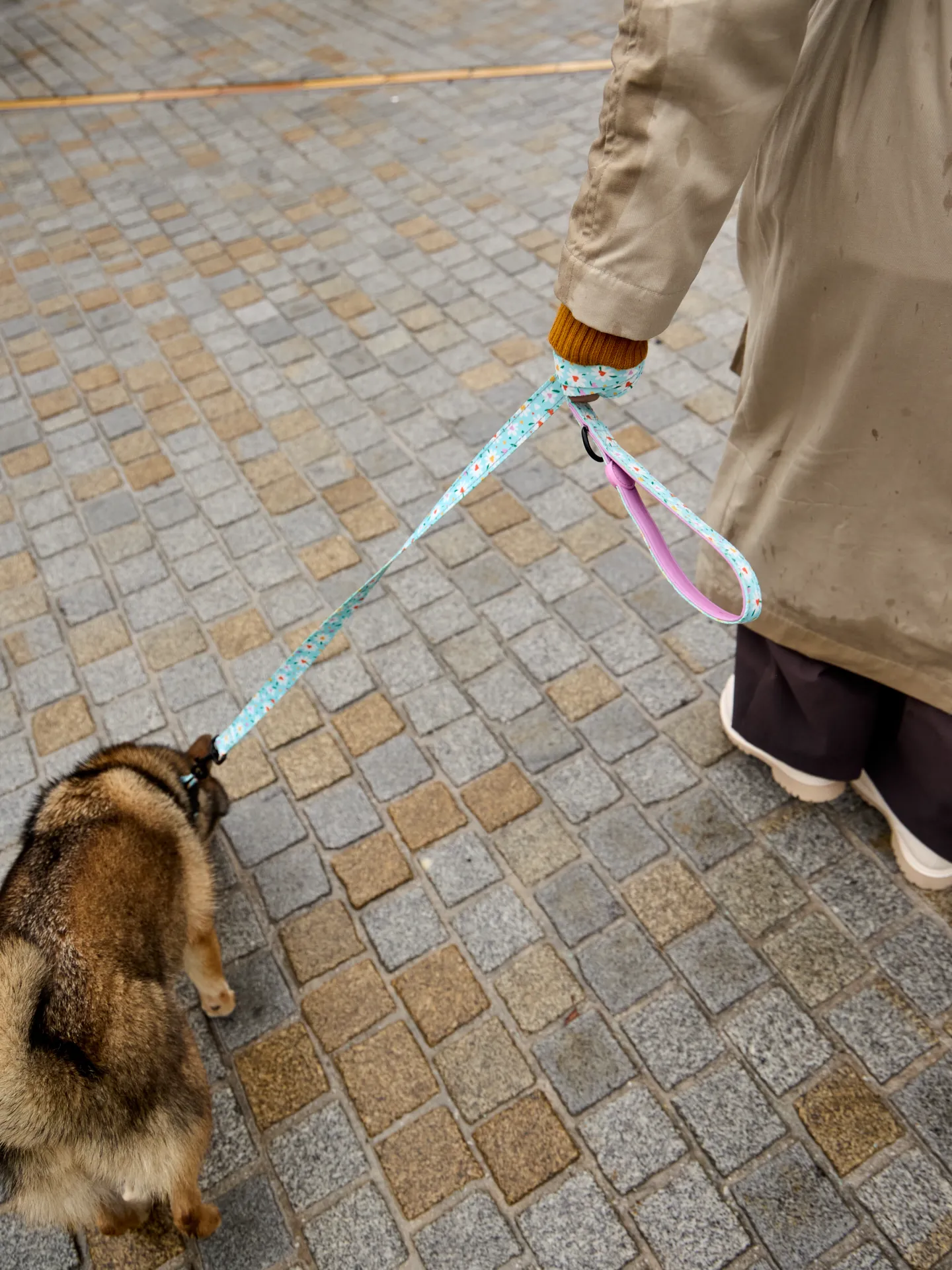 Correa para perros Corazones y margaritas - Image 4
