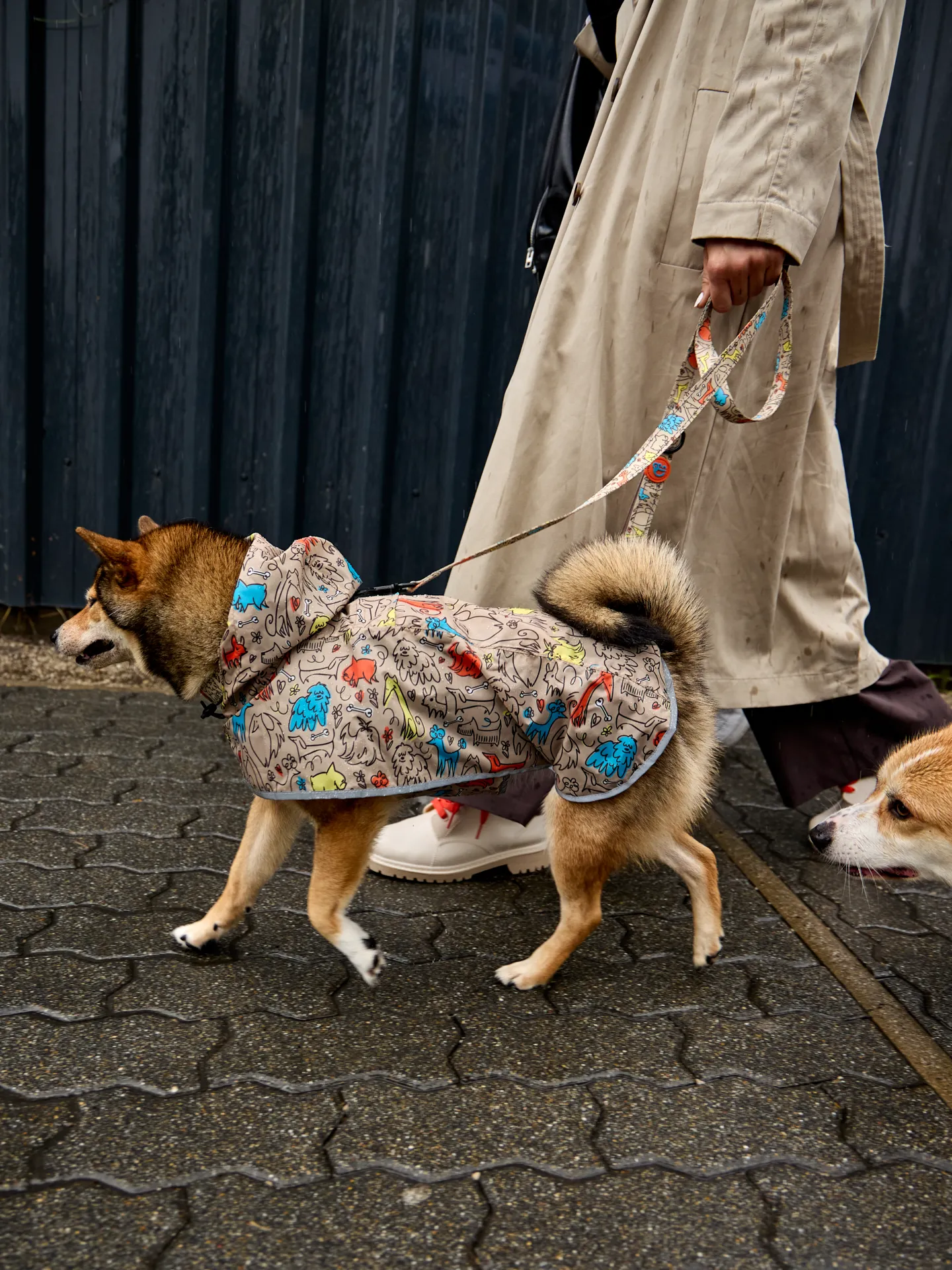 Impermeable para perro Manada de perros - Image 7