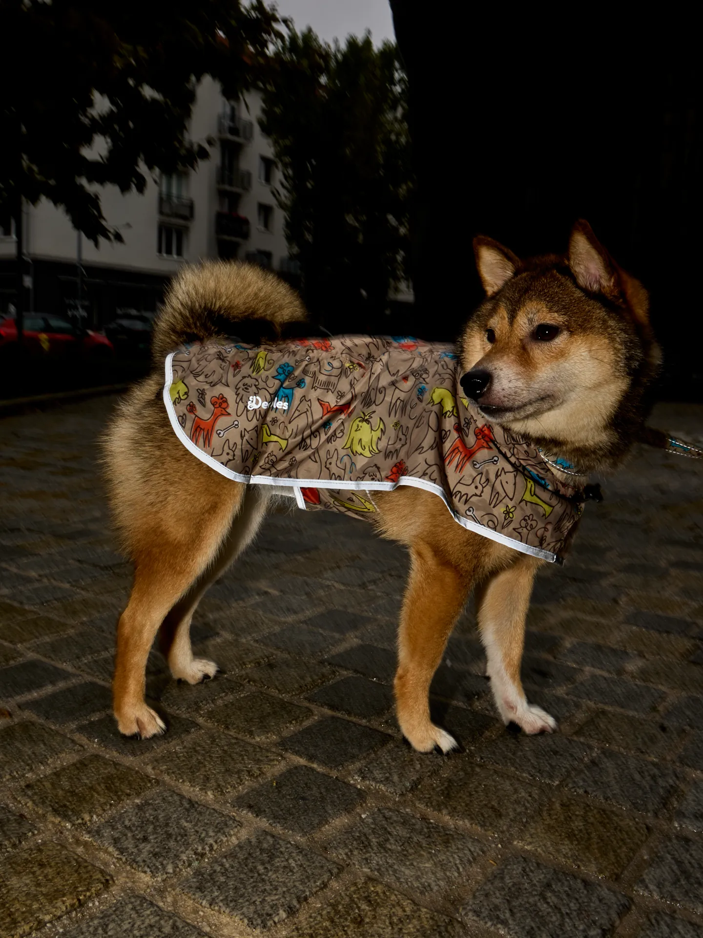 Impermeable para perro Manada de perros - Image 9