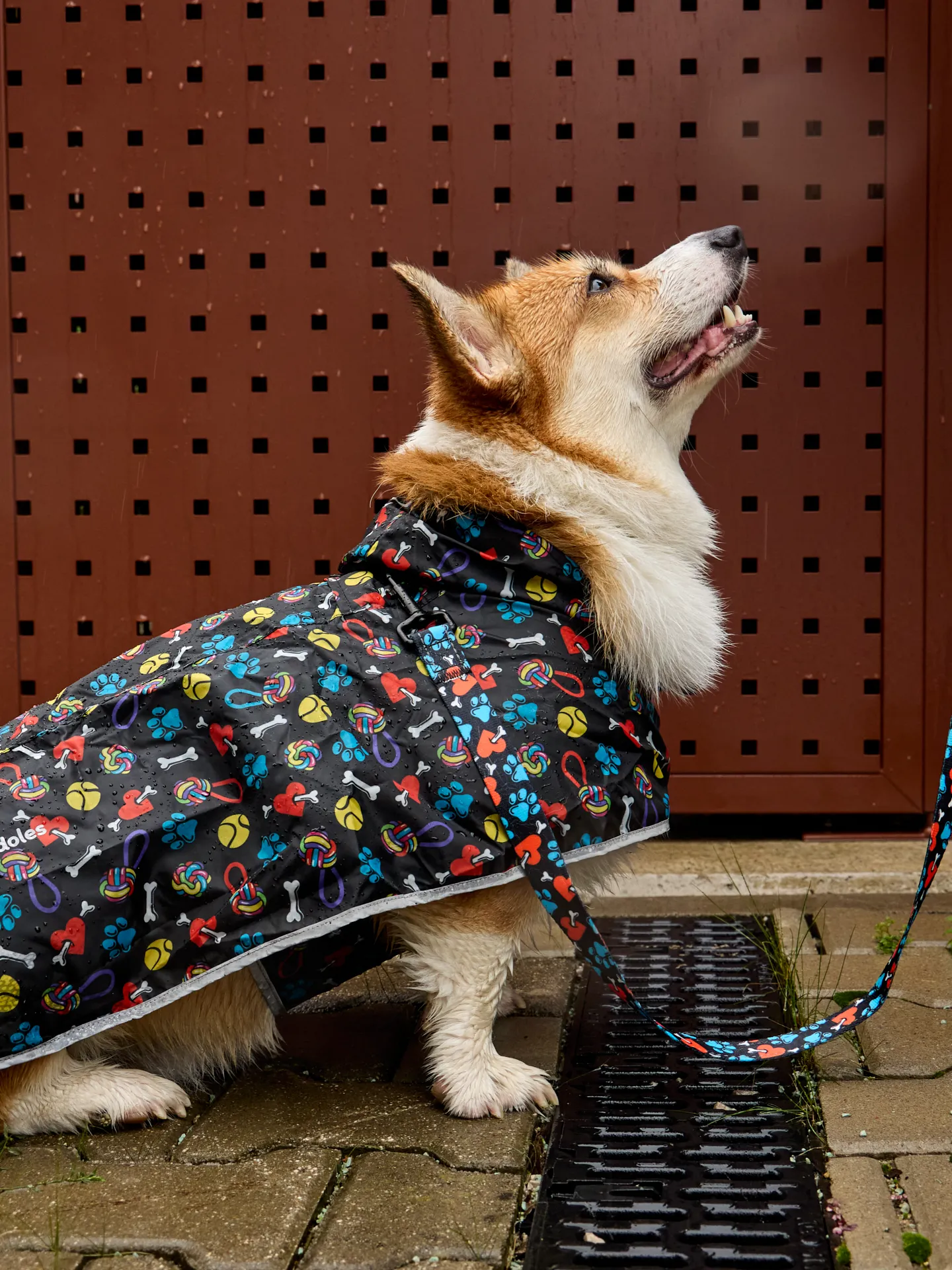 Impermeable para perro Corazones y patas - Image 8