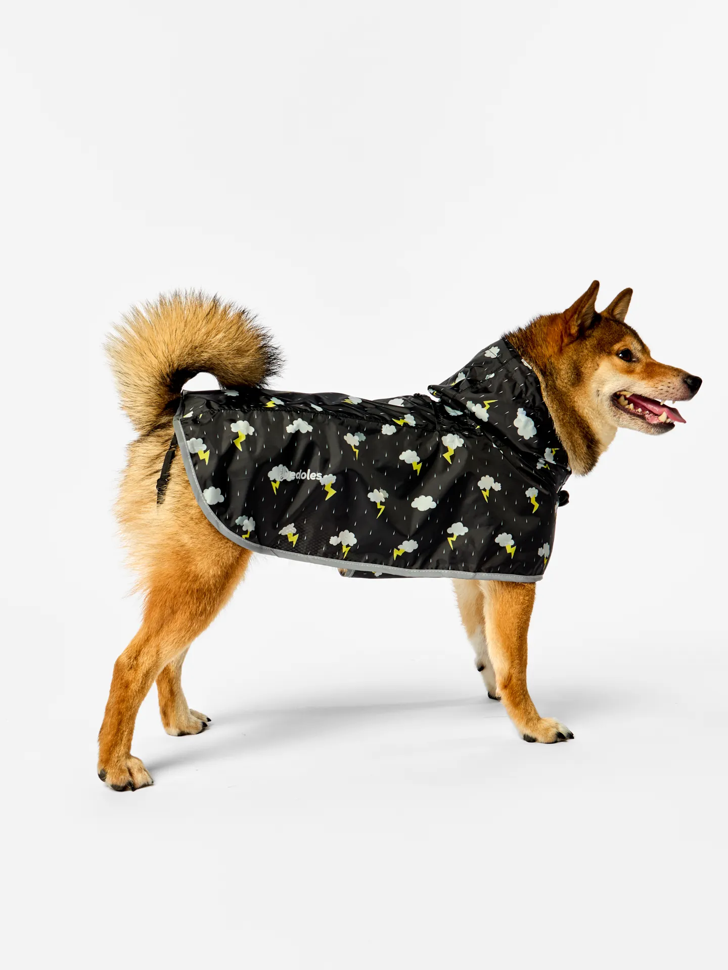 Impermeable para perro Tormenta - Image 2