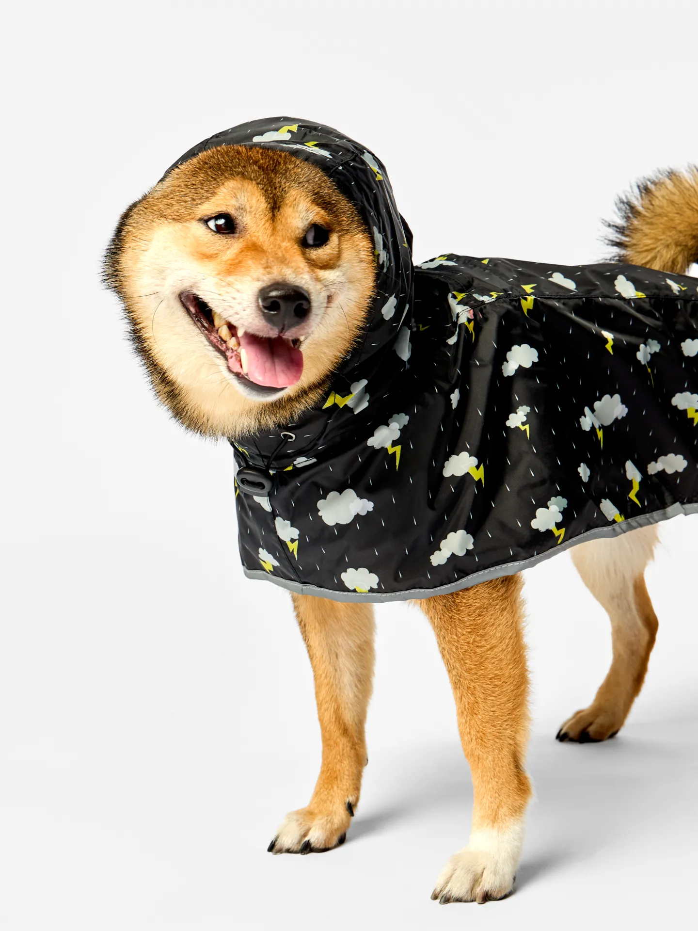 Impermeable para perro Tormenta - Image 3