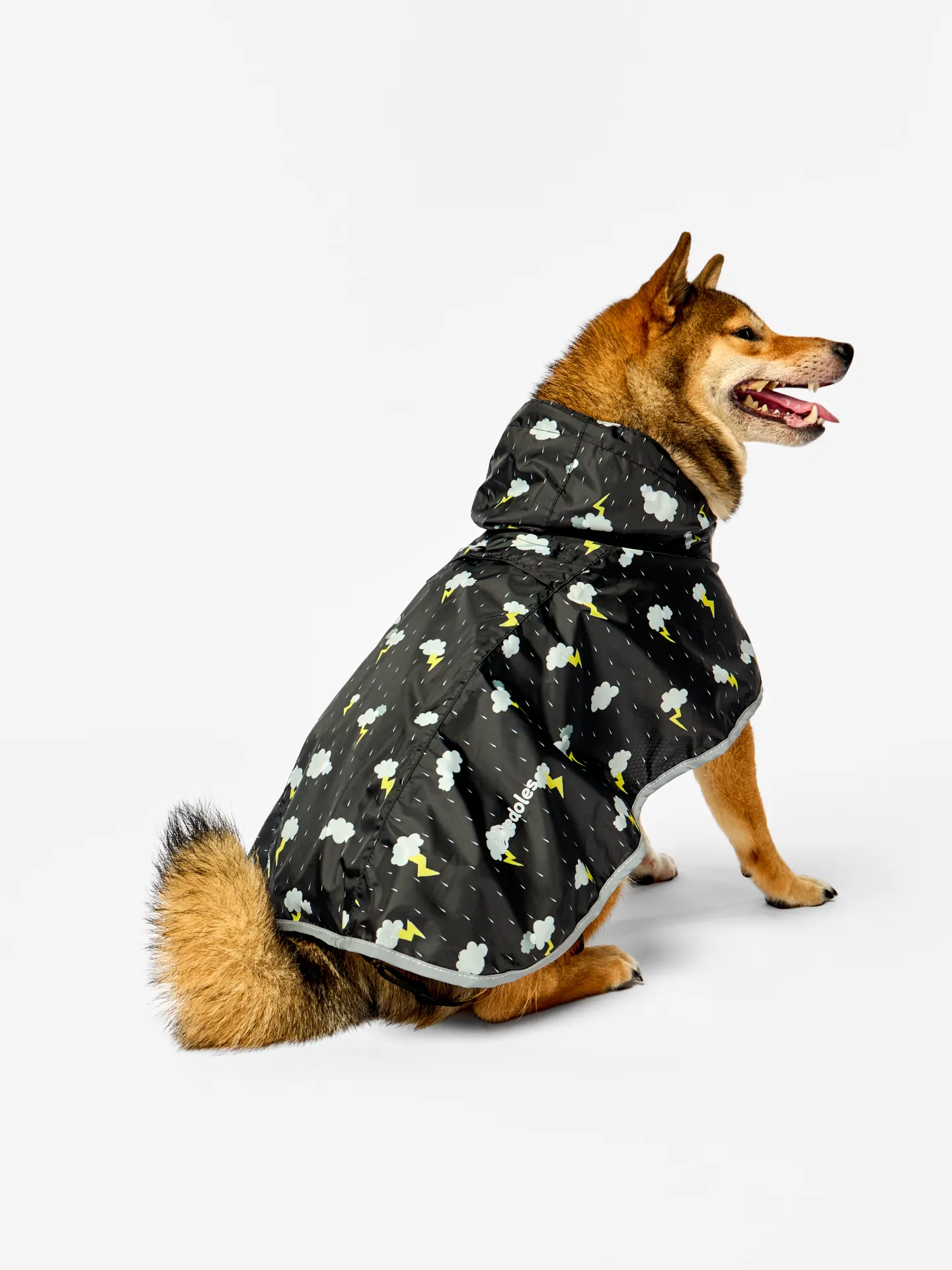 Impermeable para perro Tormenta - Image 5