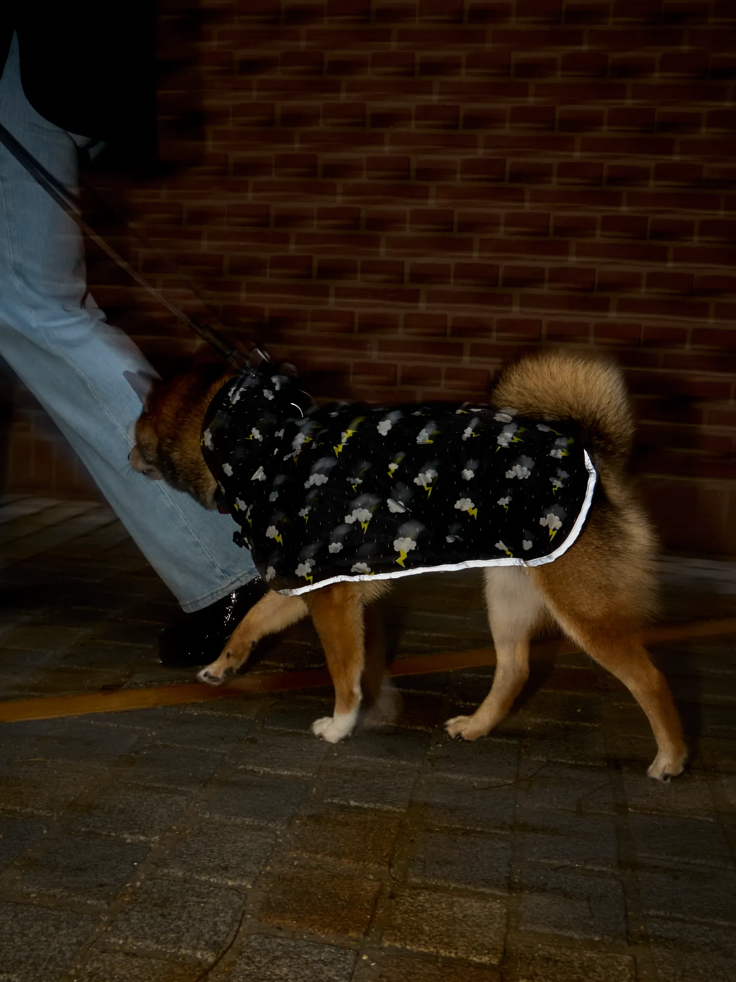 Impermeable para perro Tormenta - Image 8