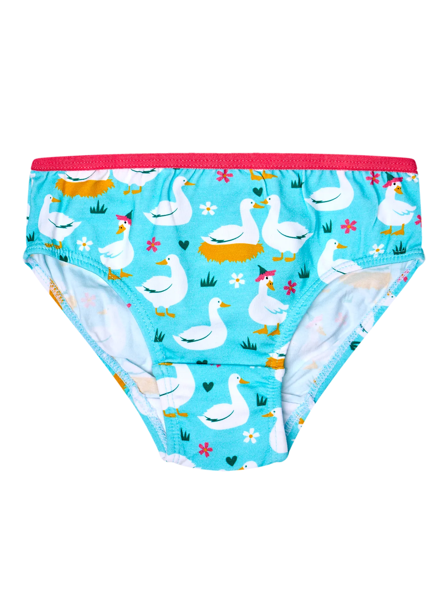 Bragas alegres para niña Gansos y flores