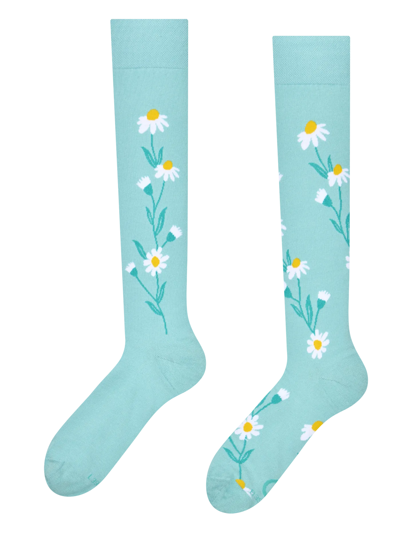 Calcetines hasta la rodilla alegres Camomila turquesa