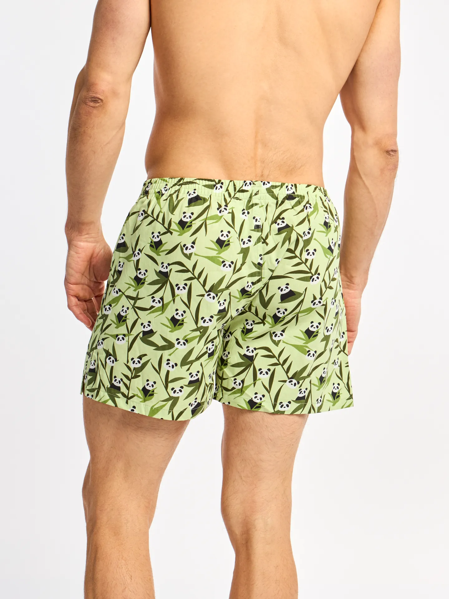 Calzoncillos alegres para hombre Pandas y bambú - Image 3