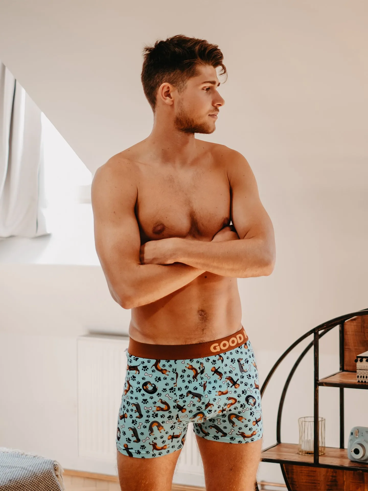 Bóxeres alegres para hombre Perro salchicha - Image 6
