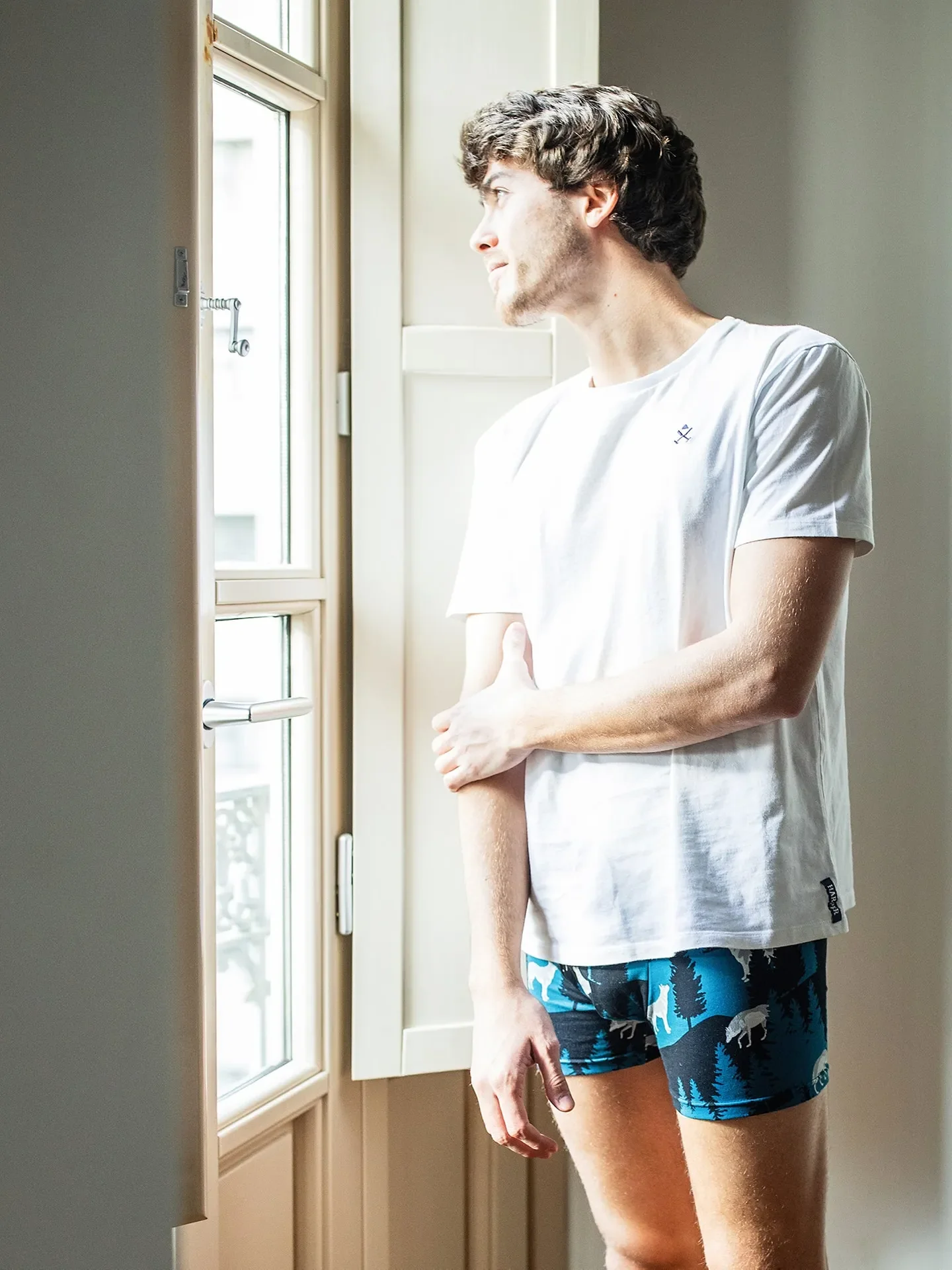 Bóxeres alegres para hombre Lobo de la luna - Image 5