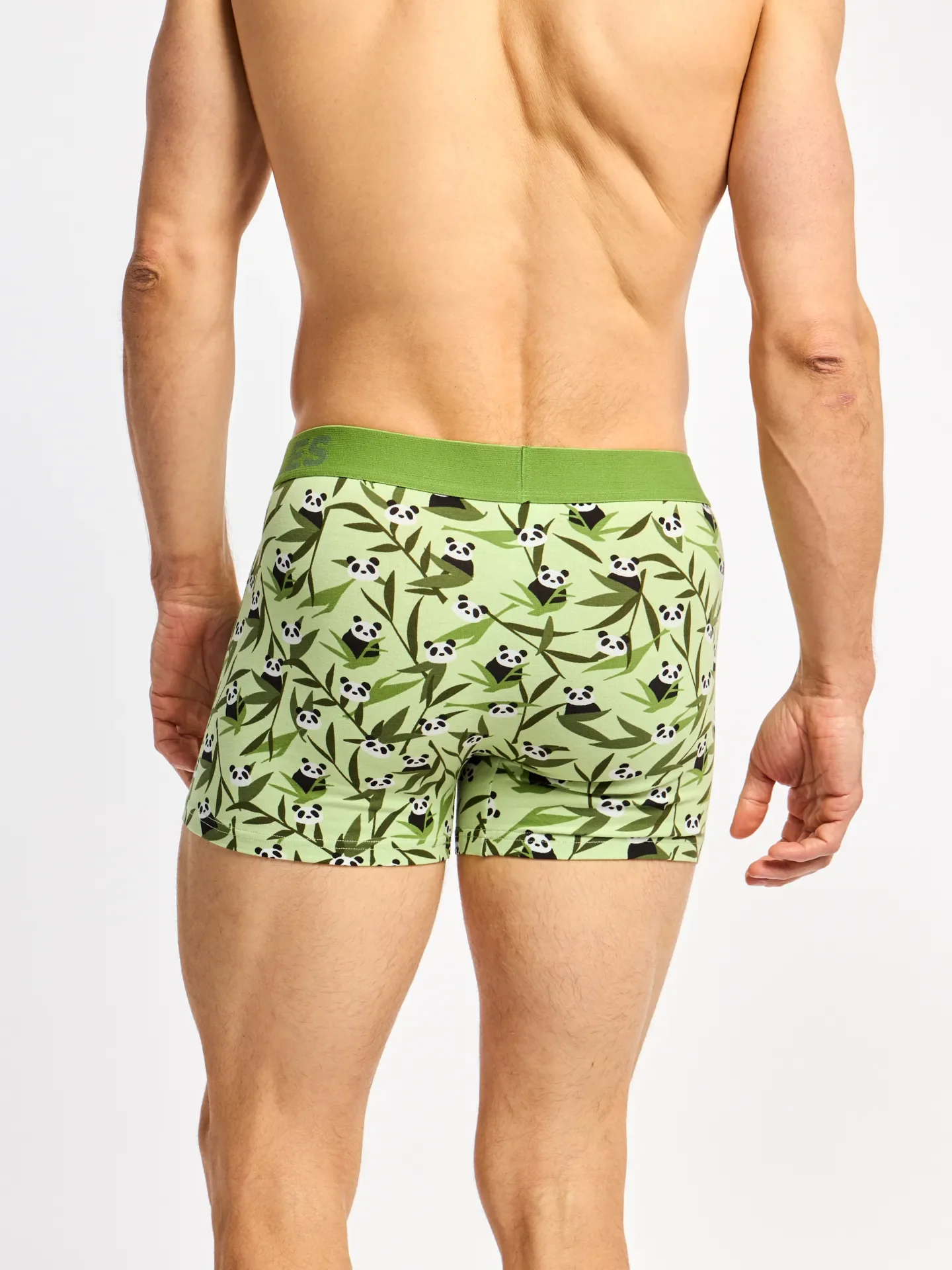 Bóxeres alegres para hombre Pandas y bambú - Image 5