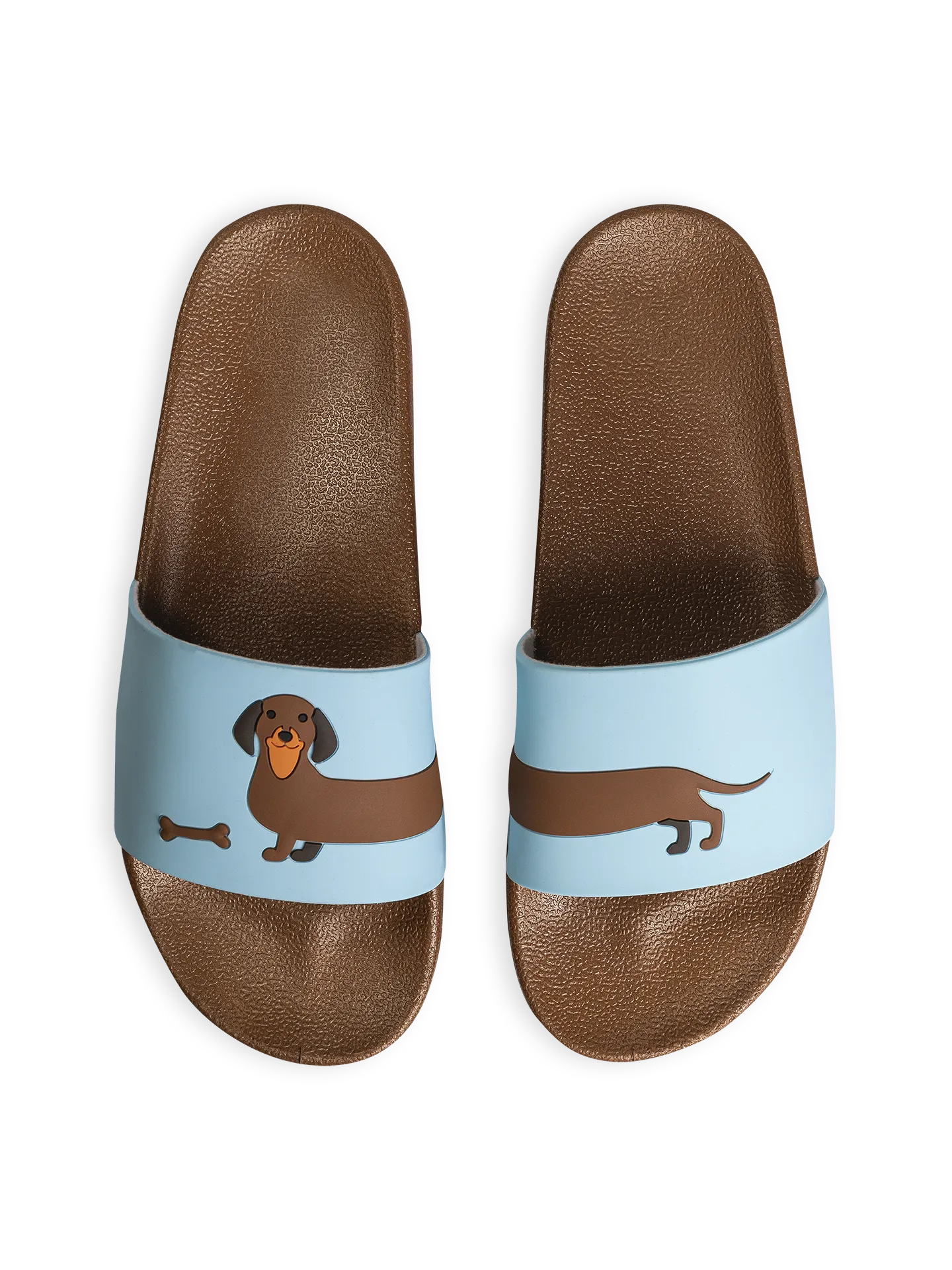 Chanclas alegres Perro salchicha largo