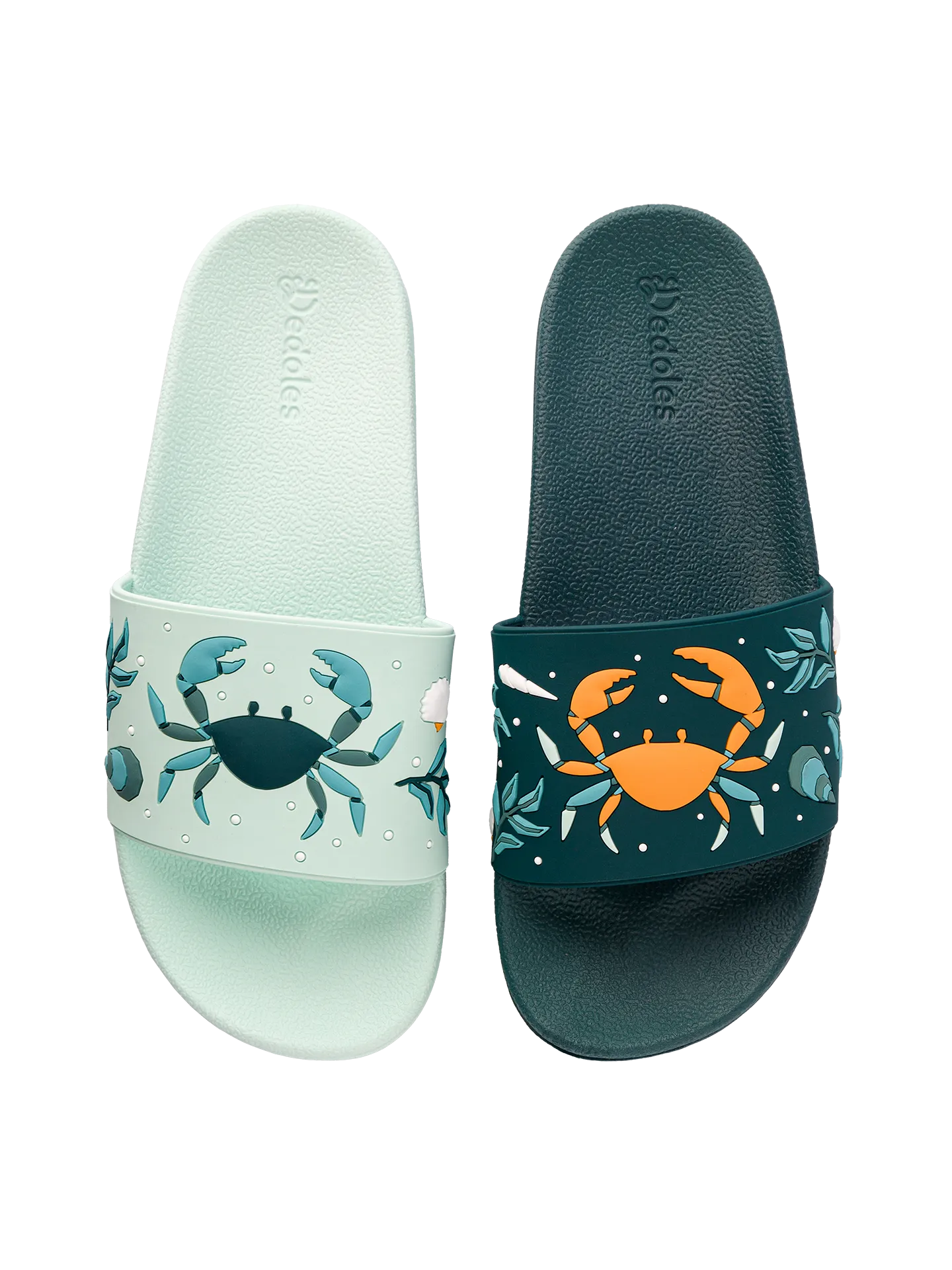 Chanclas alegres Cangrejo de mar