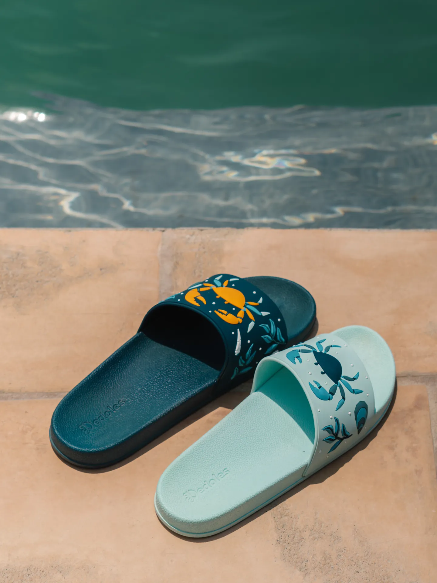 Chanclas alegres Cangrejo de mar - Image 7