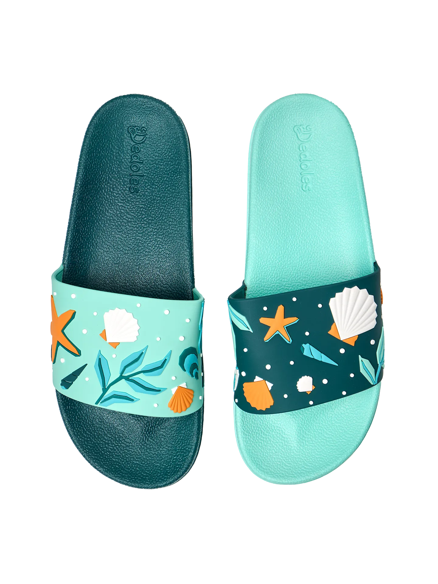 Chanclas alegres Conchas marinas