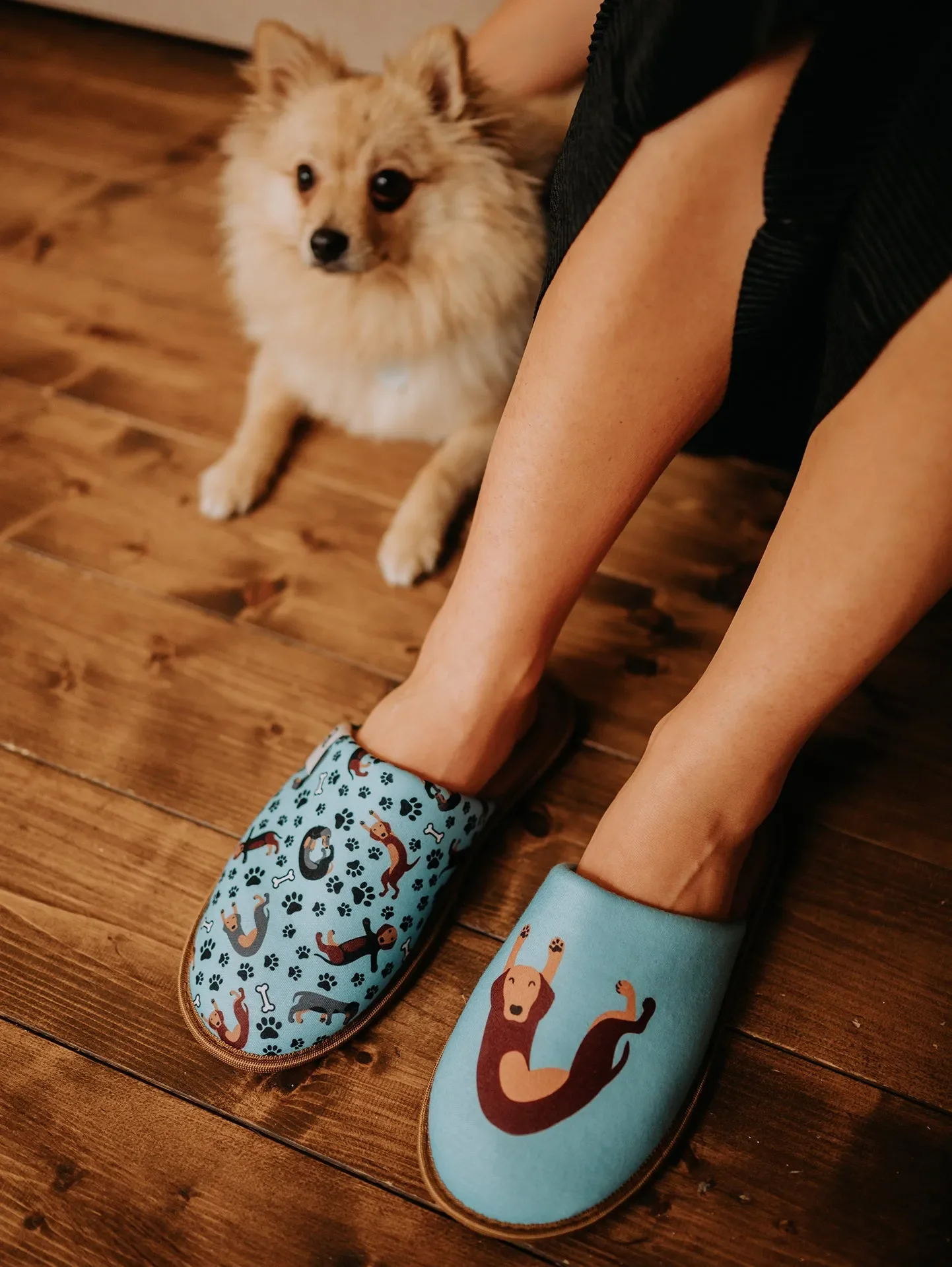 Pantuflas alegres Perro salchicha - Image 5