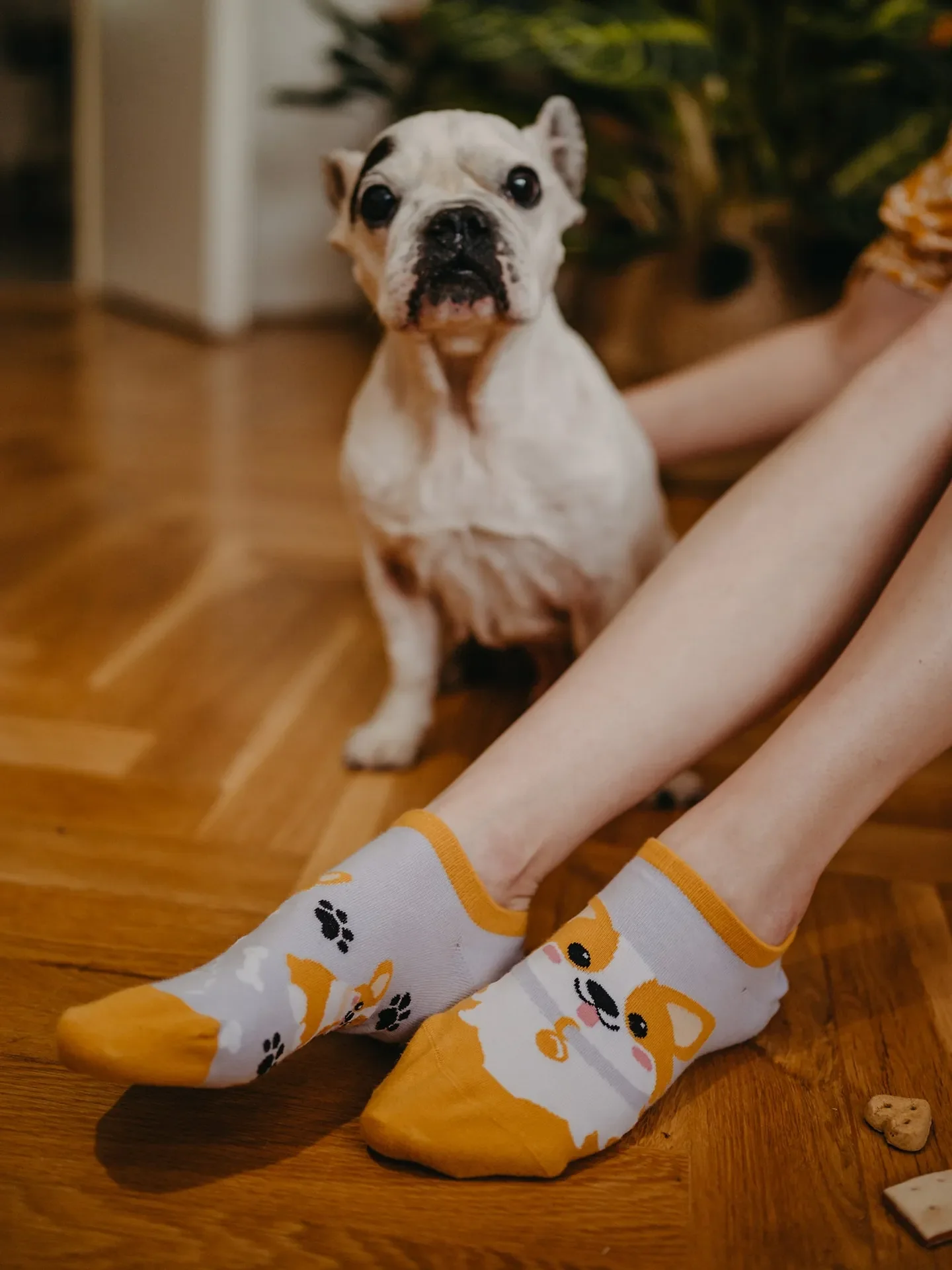Calcetines sneakers alegres Perro Corgi - Image 4
