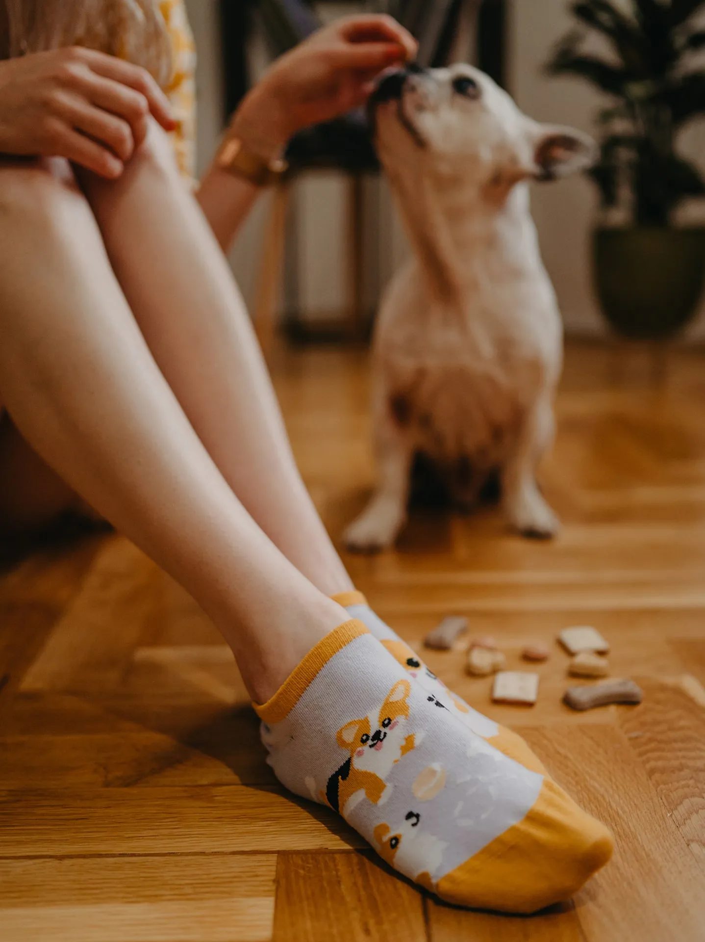 Calcetines sneakers alegres Perro Corgi - Image 5