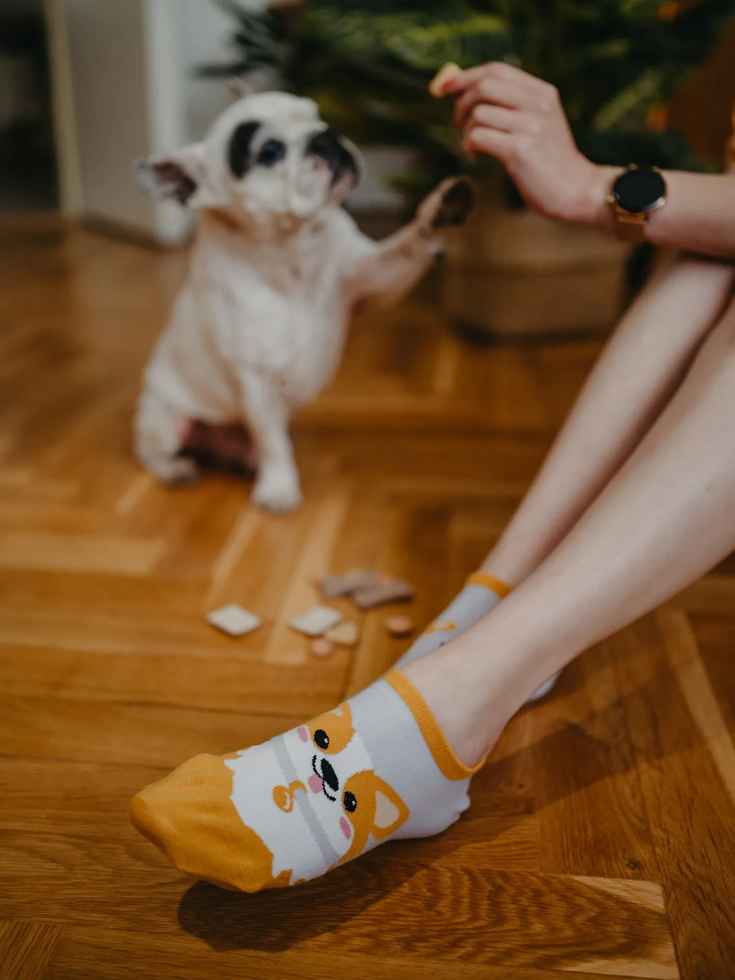 Calcetines sneakers alegres Perro Corgi - Image 6