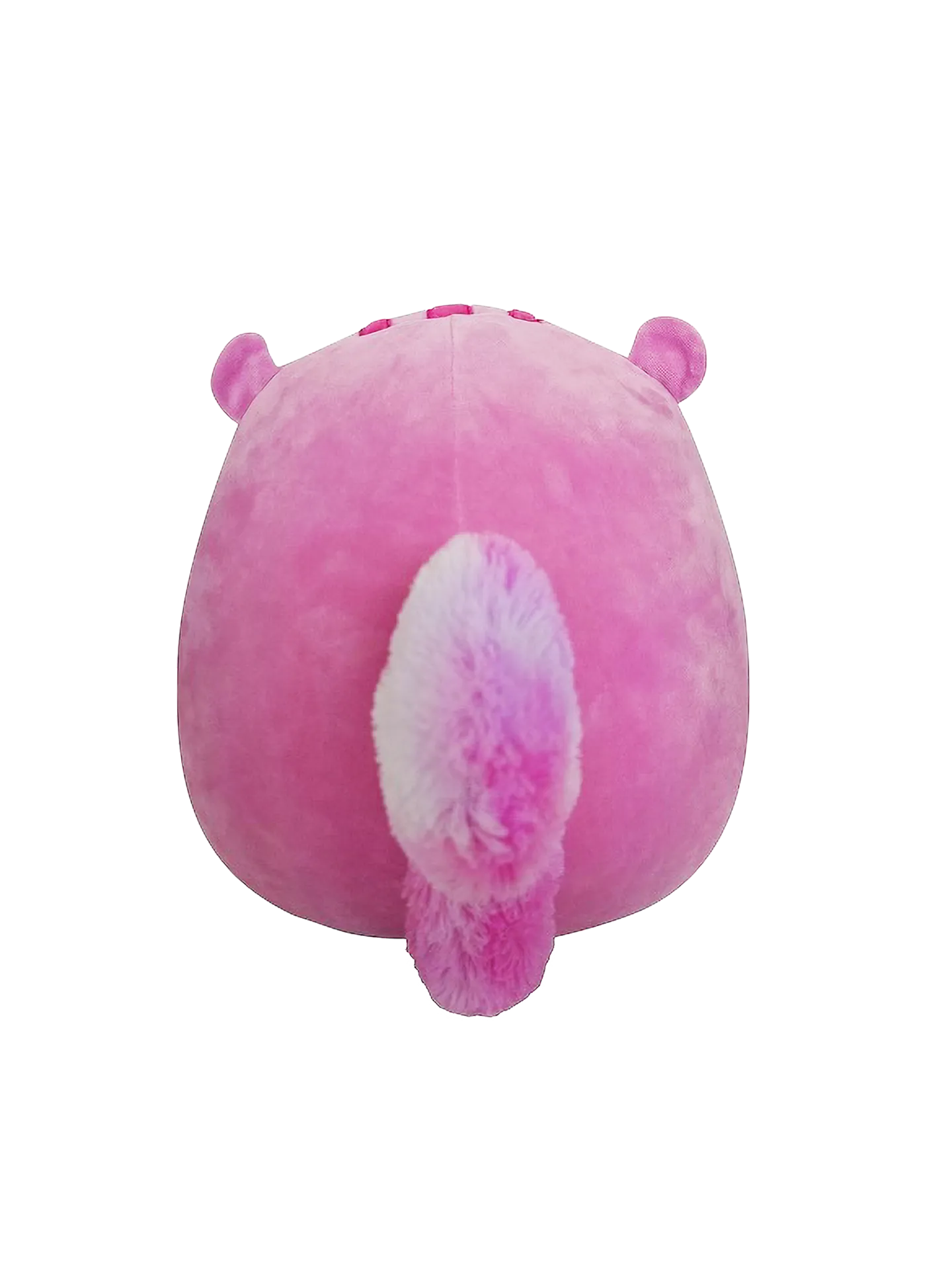 SQUISHMALLOWS Allina la Ardilla, 20 cm - Image 3