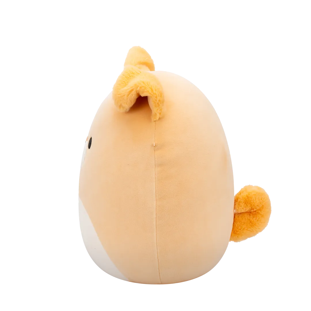 Squishmallows Cooper el Perro Beige con Barriga Blanca, 30 cm - Image 4