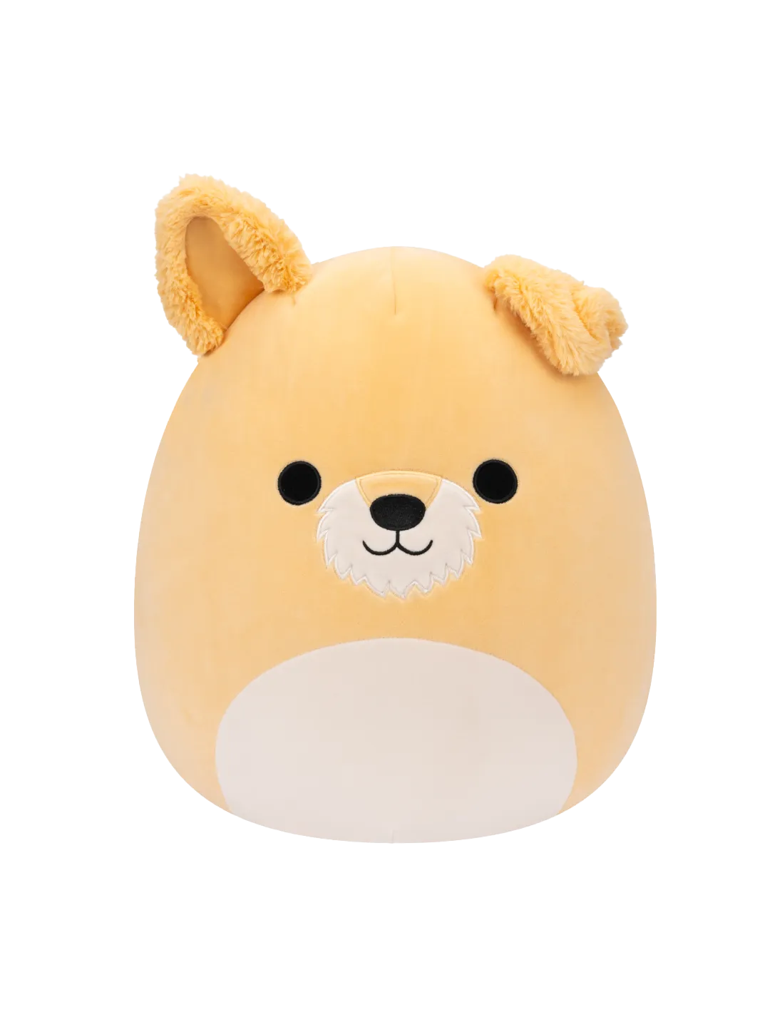 Squishmallows Cooper el Perro Blanco, 35 cm