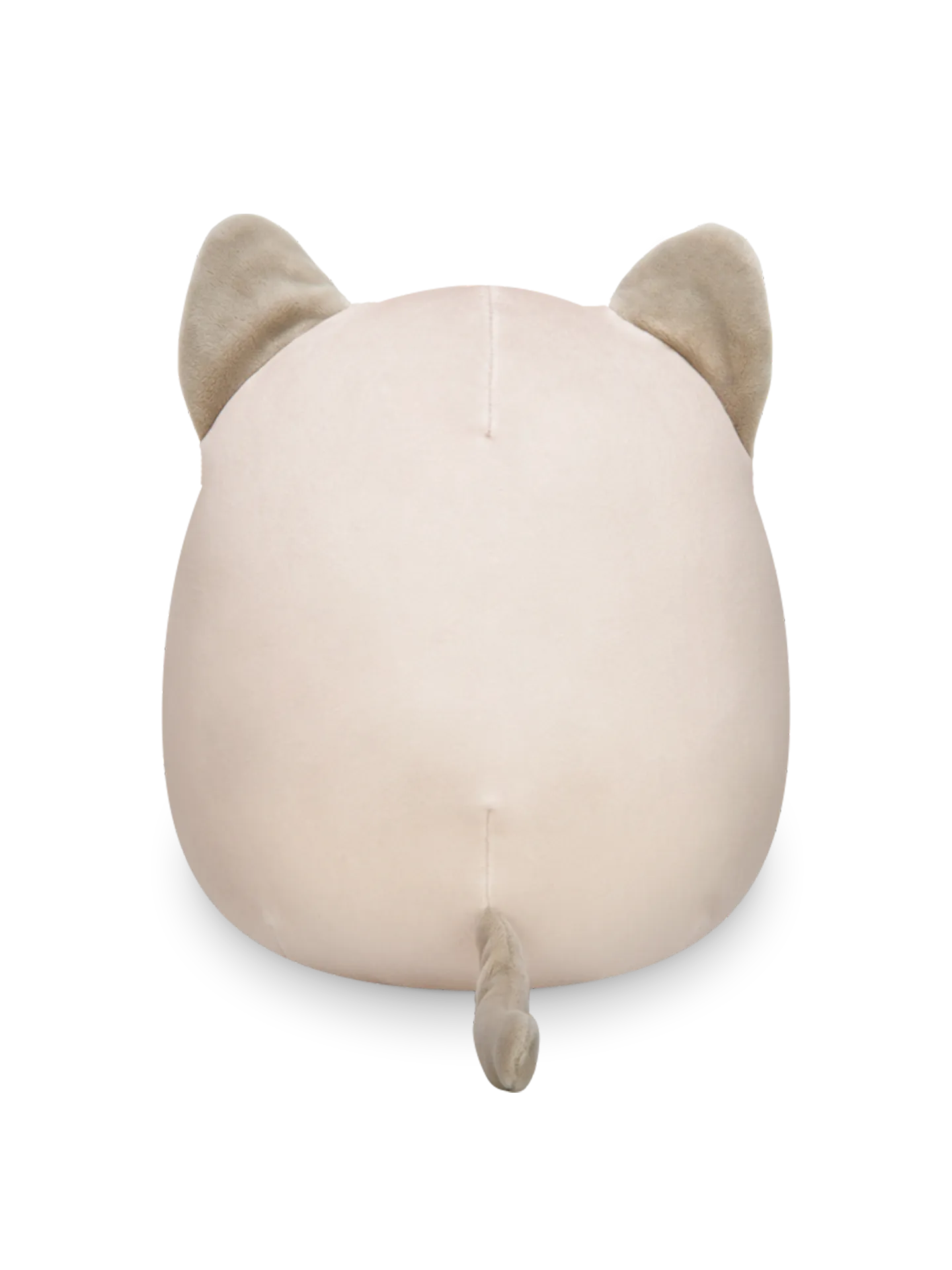 Squishmallows Felton el Gato Siamés, 20 cm - Image 3