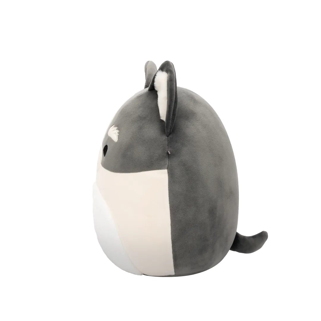 Squishmallows Paolo el Pomsky Gris y Blanco, 30 cm - Image 2